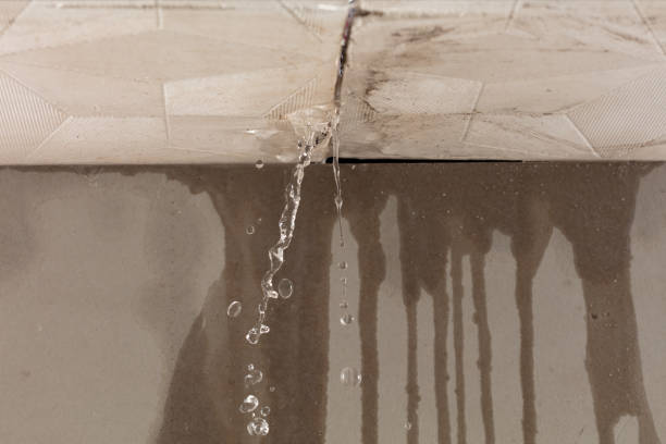 Professional Water Damage Repair technician working in Midway, GA